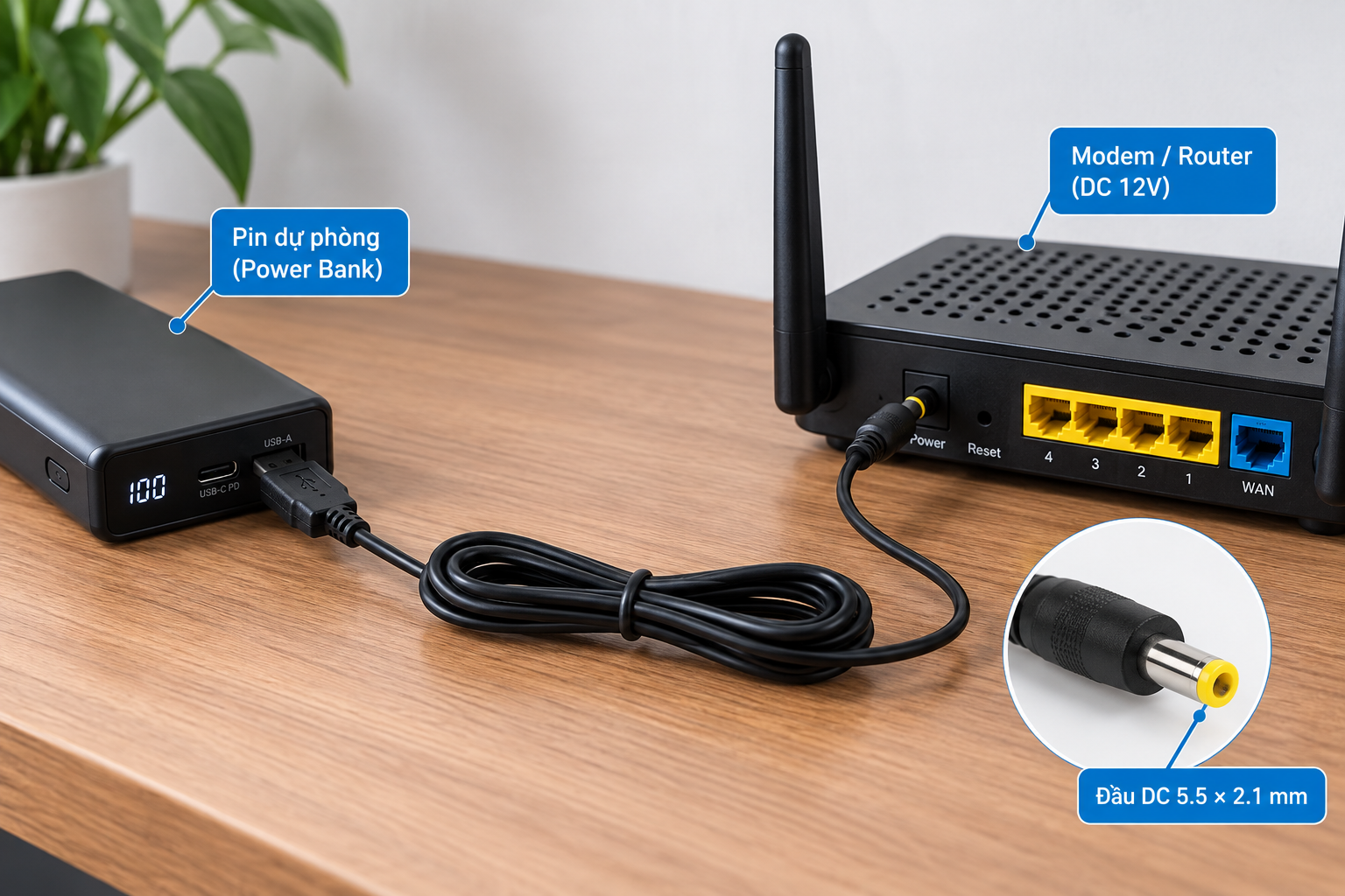 Cáp chuyển đổi USB 5V sang DC 12V